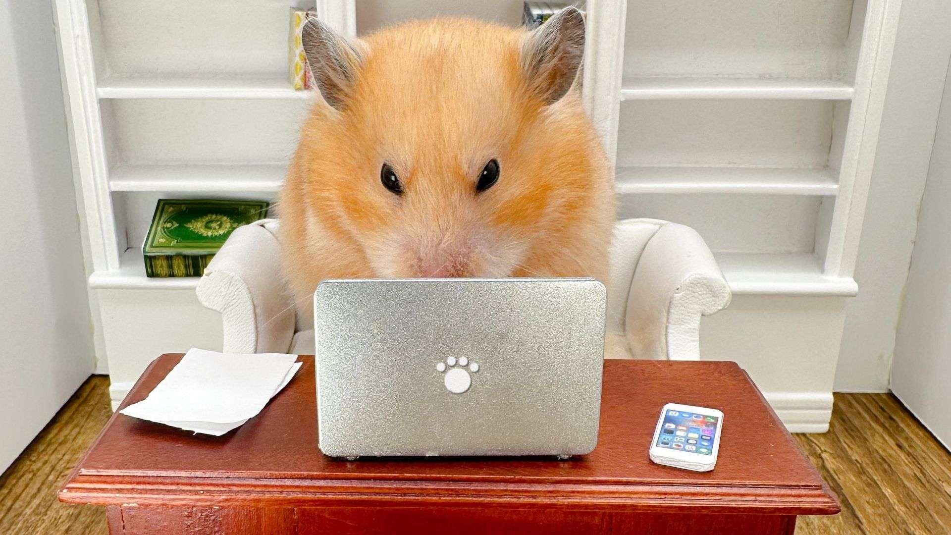 informatique